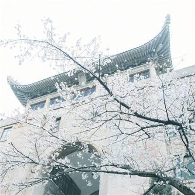 12版文化 - 哈尔滨音乐学院专场音乐会在国家大剧院举办